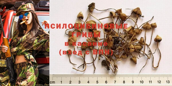 дурь Данков