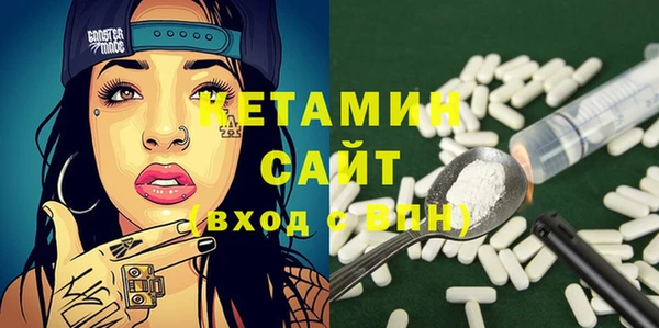 шишки Дегтярск