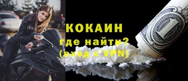 ПСИЛОЦИБИНОВЫЕ ГРИБЫ Верея