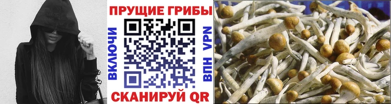 цена наркотик  Демидов  гидра ONION  Галлюциногенные грибы Cubensis 